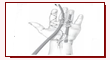 Universal tendon spacer