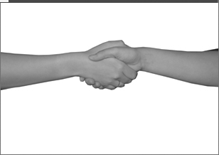 Partners
